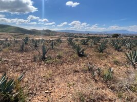 Urlaub in Mexiko - Vacaciones en México