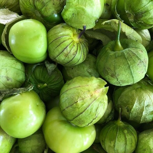 Tomatillo fresco / frisch Preis je Kg / (COL)