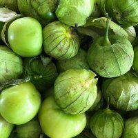 Tomatillo fresco / frisch Preis je Kg / (COL)