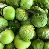 Tomatillo fresco / frisch Preis je Kg / (Colombia/Kolumbien)