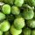 Tomatillo fresco / frisch Preis je Kg / (COL)