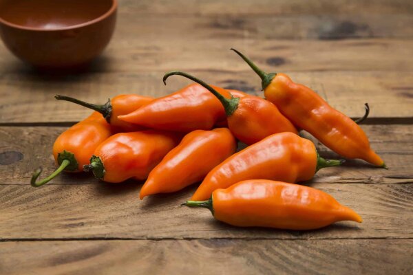 Aji amarillo (naranjo)  fresco / orange frisch Preis je Kg (NL)