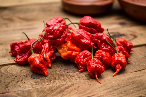 Carolina Reaper fresco / frisch Preis je Kg (ES)