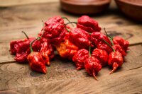 Carolina Reaper fresco / frisch Preis je Kg (ES)