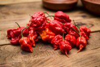 Carolina Reaper fresco / frisch Preis je Kg (NL)