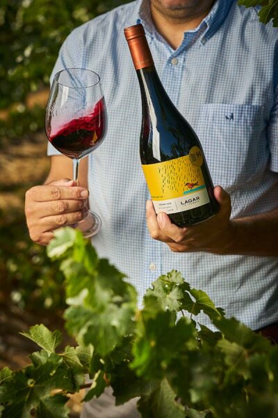 Lagar Syrah Edición Limitada 2017 14,5%Alc.Vol. 750ml