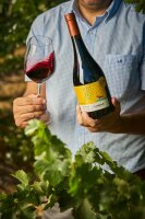 Lagar Syrah Edición Limitada 2017 14,5%Alc.Vol. 750ml