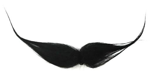 Bigote