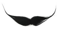 Bigote